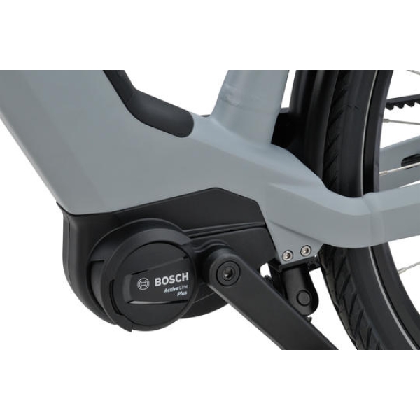 Sparta D-Rule Energy Dames 2026