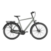 Gazelle Chamonix C8 HEREN 2024