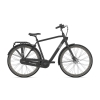 Gazelle Esprit Heren 2025