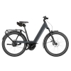 artPic_public_L_4630530.jpg Riese Und Muller Nevo5 silent CORE 2026