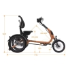 artPic_public_L_4684360.jpg Van Raam Easy Rider Compact+ 2026