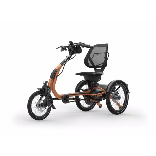 artPic_public_L_4684364.jpg Van Raam Easy Rider Compact+ 2026