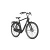 Gazelle Esprit Heren 2025