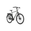 Gazelle Chamonix C8 HEREN 2024