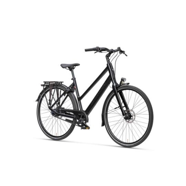 artPic_public_L_3879258.jpg Batavus Senz Exclusive 2026