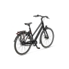 artPic_public_L_4722781.jpg Batavus Senz Exclusive 2026